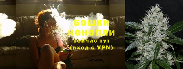 индика Заводоуковск
