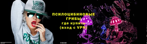 гидра Заволжск