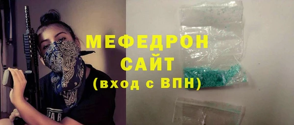 индика Заводоуковск