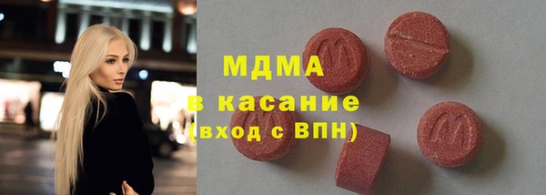 индика Заводоуковск