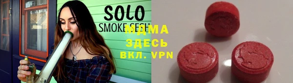 индика Заводоуковск