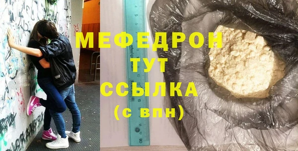 индика Заводоуковск