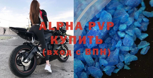 индика Заводоуковск