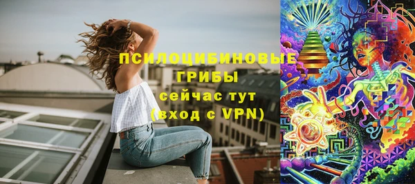 гидра Заволжск
