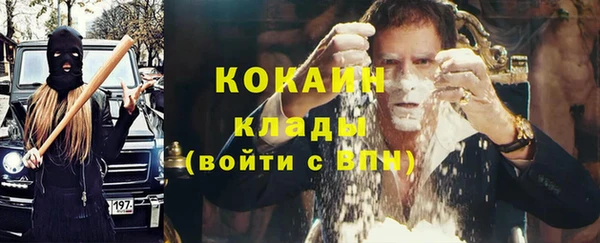 индика Заводоуковск