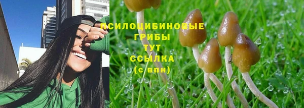 индика Заводоуковск