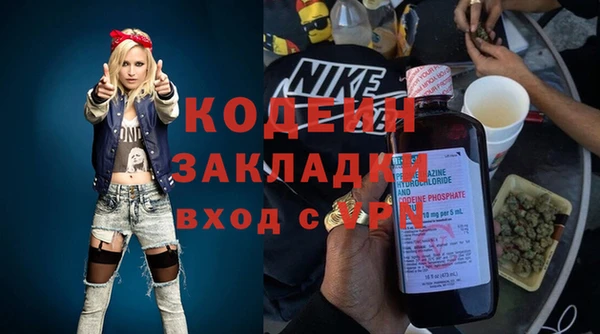 индика Заводоуковск