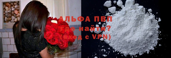 индика Заводоуковск