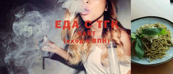 индика Заводоуковск