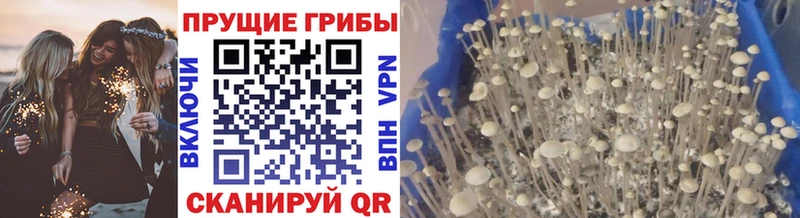 Галлюциногенные грибы прущие грибы Любань